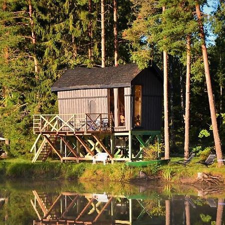 Dragon House In The Tree! Jacuzzi, Sauna ,Cinema,Heated Lici  Eksteriør billede