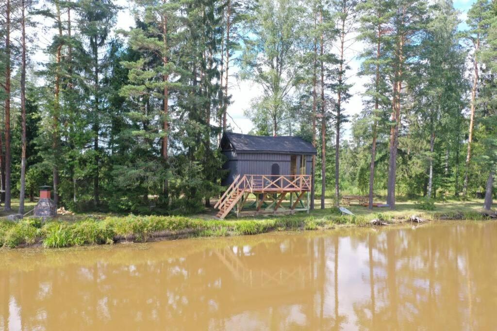 Dragon House In The Tree! Jacuzzi, Sauna ,Cinema,Heated Lici  Eksteriør billede