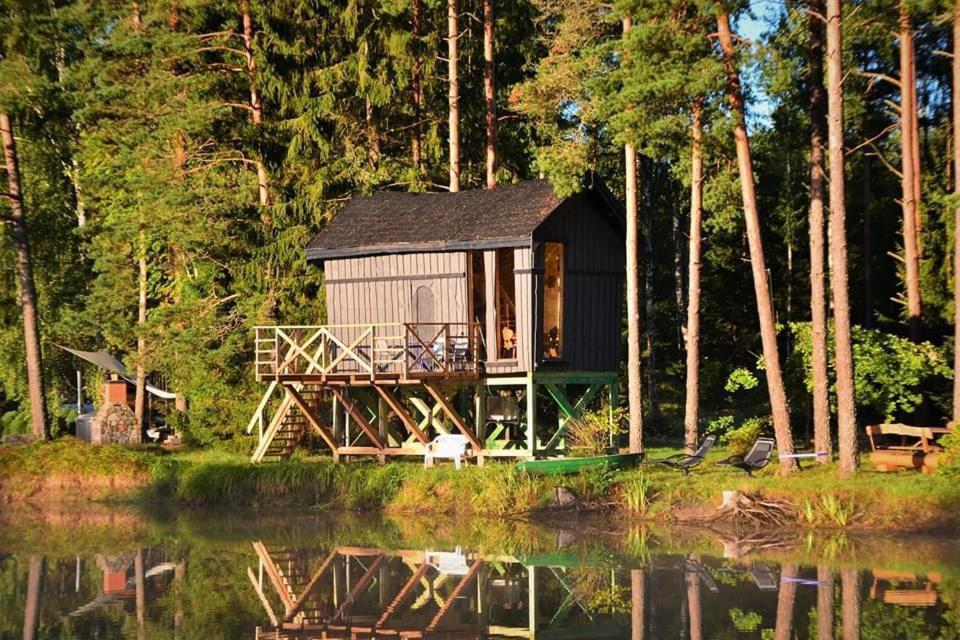 Dragon House In The Tree! Jacuzzi, Sauna ,Cinema,Heated Lici  Eksteriør billede