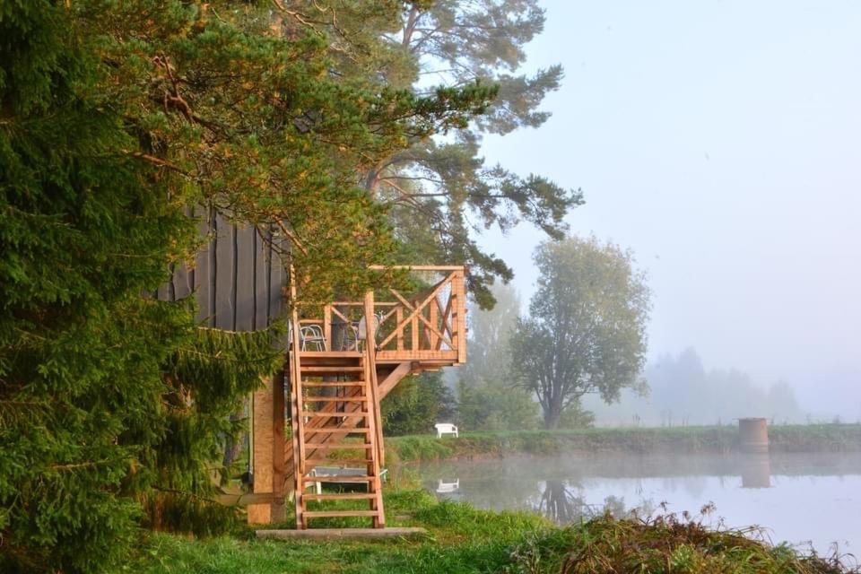 Dragon House In The Tree! Jacuzzi, Sauna ,Cinema,Heated Lici  Eksteriør billede